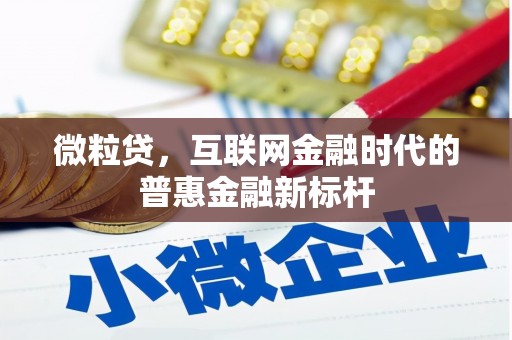 大名微粒贷，互联网金融时代的普惠金融新标杆