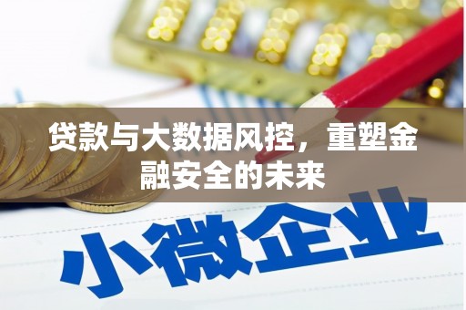 龙潭贷款与大数据风控，重塑金融安全的未来