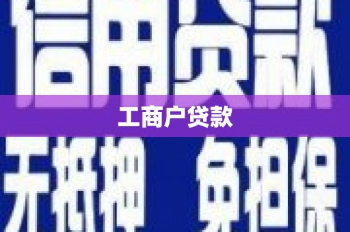 天元工商户贷款