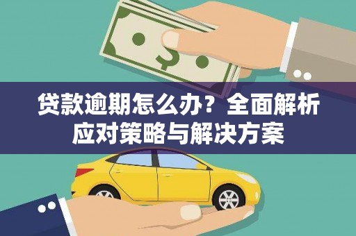 莲都贷款逾期怎么办？全面解析应对策略与解决方案
