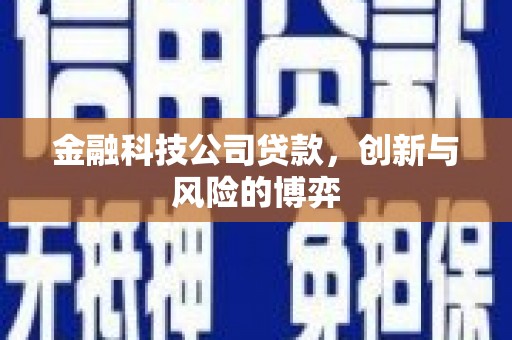 南丹金融科技公司贷款，创新与风险的博弈