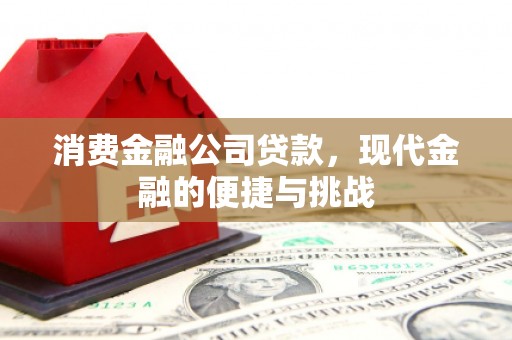 禅城消费金融公司贷款，现代金融的便捷与挑战