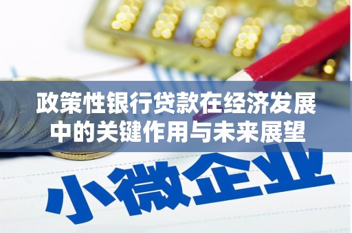 右江政策性银行贷款在经济发展中的关键作用与未来展望