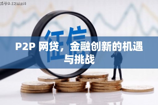 紫金P2P 网贷，金融创新的机遇与挑战