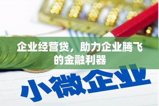 东乡族企业经营贷，助力企业腾飞的金融利器