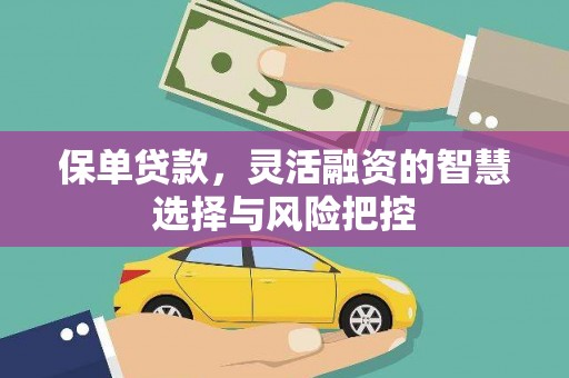 华宁保单贷款，灵活融资的智慧选择与风险把控