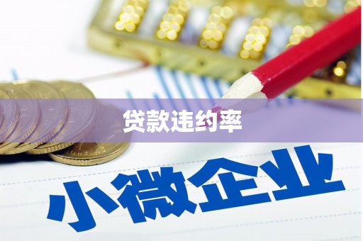 暖暖贷款违约率