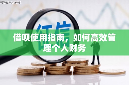 田家庵借呗使用指南，如何高效管理个人财务