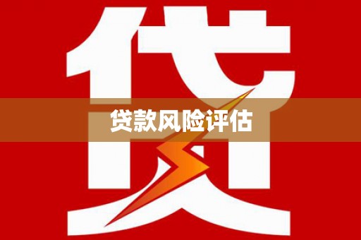 阿莲贷款风险评估