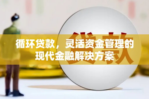 赫山循环贷款，灵活资金管理的现代金融解决方案