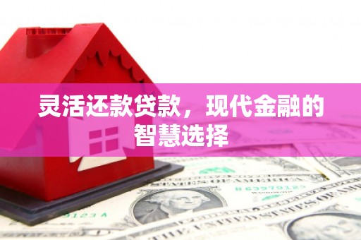 水林灵活还款贷款，现代金融的智慧选择