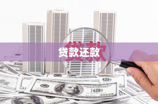 达孜贷款还款