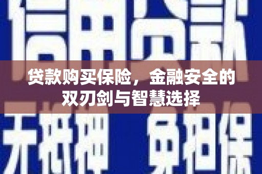 泰山贷款购买保险，金融安全的双刃剑与智慧选择