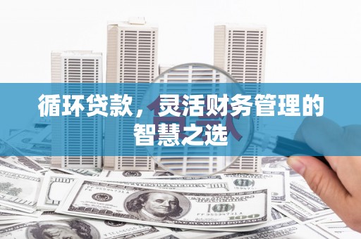 西秀循环贷款，灵活财务管理的智慧之选