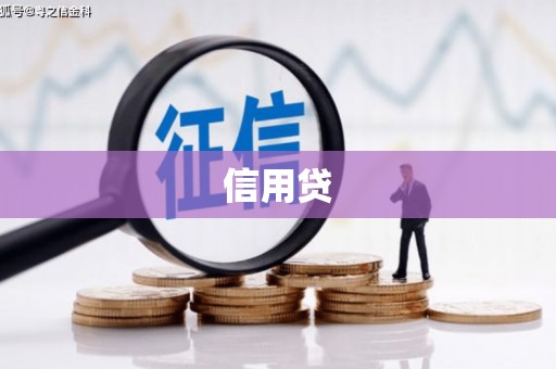 山上信用贷