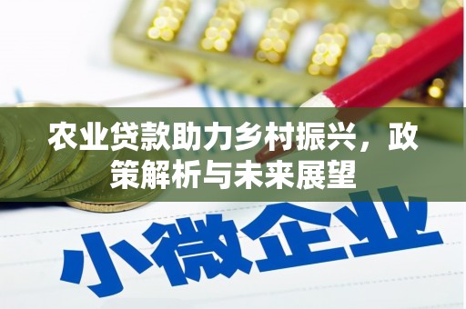 沧县农业贷款助力乡村振兴，政策解析与未来展望