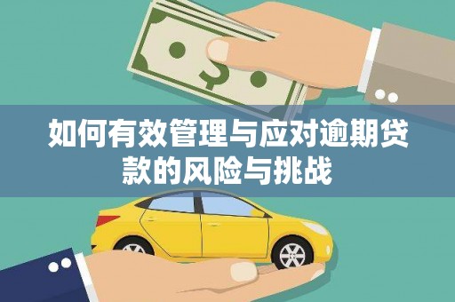 松溪如何有效管理与应对逾期贷款的风险与挑战