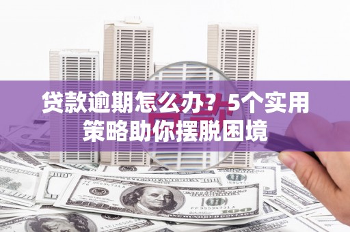 沈北新区贷款逾期怎么办？5个实用策略助你摆脱困境