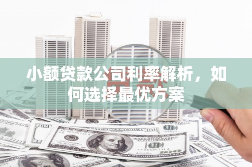 石鼓小额贷款公司利率解析，如何选择最优方案
