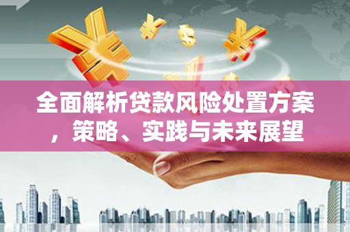 吴起全面解析贷款风险处置方案，策略、实践与未来展望