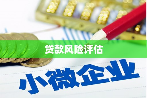 平果贷款风险评估