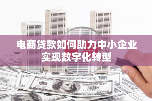 海伦电商贷款如何助力中小企业实现数字化转型