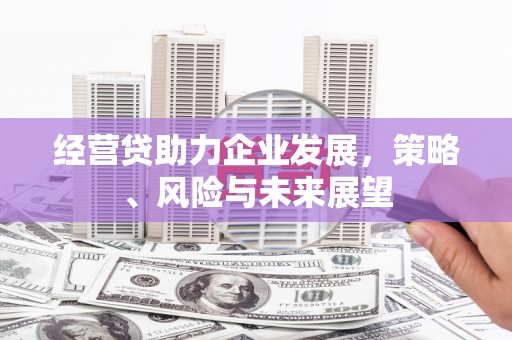 伊宁经营贷助力企业发展，策略、风险与未来展望