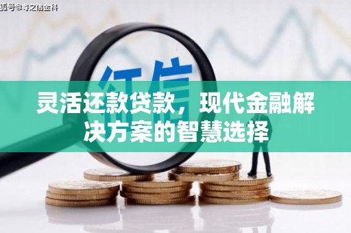 狮子山灵活还款贷款，现代金融解决方案的智慧选择