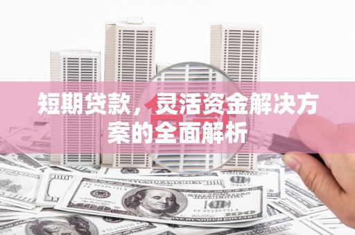 德保短期贷款，灵活资金解决方案的全面解析