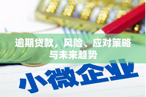 双河逾期贷款，风险、应对策略与未来趋势