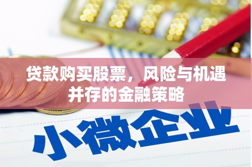 镇康贷款购买股票，风险与机遇并存的金融策略