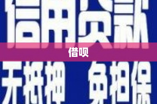 鸡泽借呗
