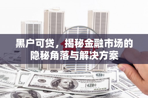 海南黑户可贷，揭秘金融市场的隐秘角落与解决方案