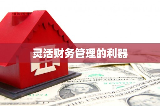南宫灵活财务管理的利器