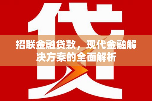 芳苑招联金融贷款，现代金融解决方案的全面解析