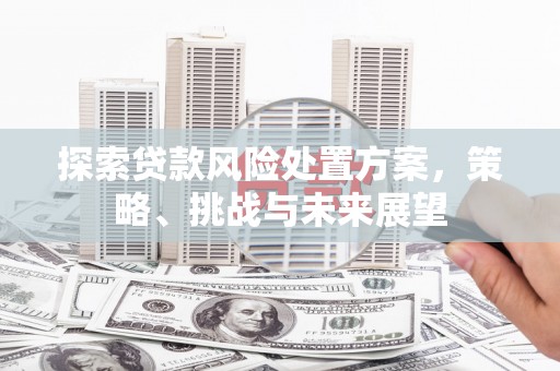 西市探索贷款风险处置方案，策略、挑战与未来展望