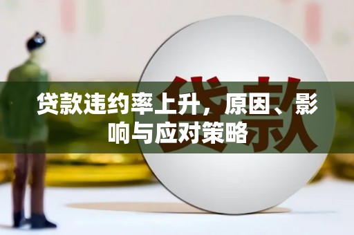 阜沙贷款违约率上升，原因、影响与应对策略