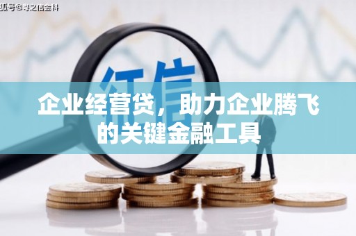 长泰企业经营贷，助力企业腾飞的关键金融工具