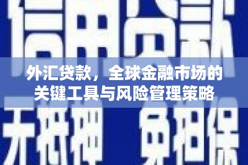 秀山外汇贷款，全球金融市场的关键工具与风险管理策略