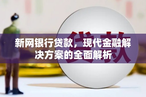 海州新网银行贷款，现代金融解决方案的全面解析