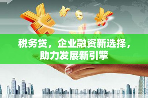 娄星税务贷，企业融资新选择，助力发展新引擎