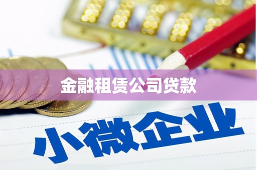 曲水金融租赁公司贷款