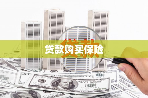 南平贷款购买保险