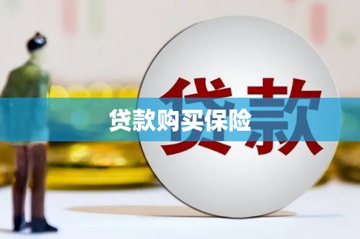 合作贷款购买保险