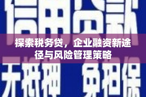 板桥探索税务贷，企业融资新途径与风险管理策略