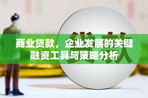 津南商业贷款，企业发展的关键融资工具与策略分析