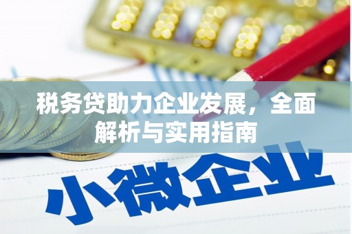 滁州税务贷助力企业发展，全面解析与实用指南