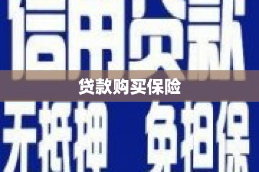 卓尼贷款购买保险