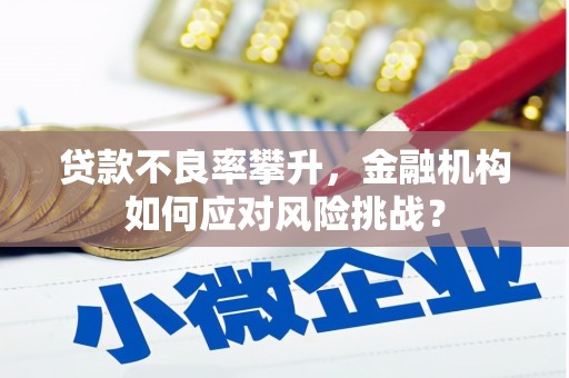 雅安贷款不良率攀升，金融机构如何应对风险挑战？