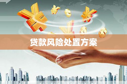 柳林贷款风险处置方案
